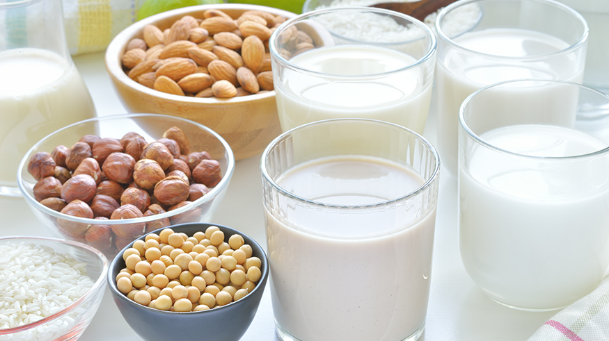 植物由来の代替乳製品 ノンデイリーミルクの製造